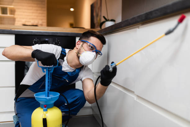 Best Pest Control Near Me  in Anderson, SC