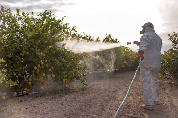 Best Emergency Pest Control  in Anderson, SC