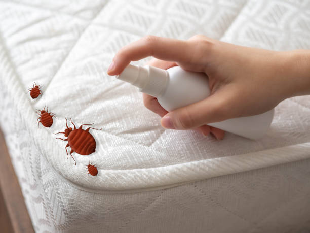 Best Insect Control  in Anderson, SC