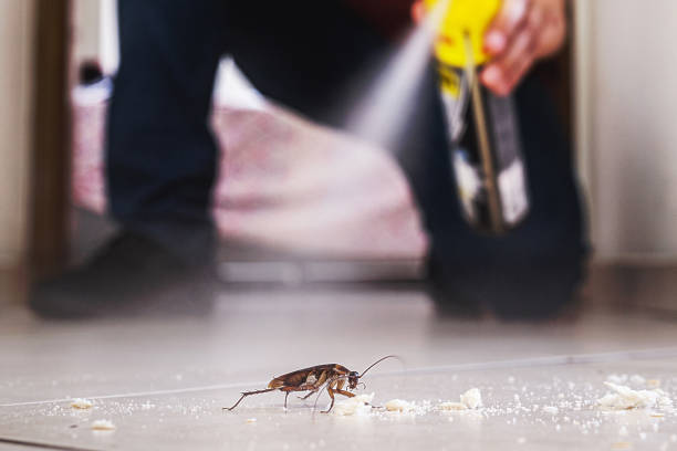 Best Pest Control for Restaurants  in Anderson, SC