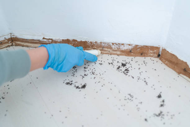 Best Pest Prevention Services  in Anderson, SC