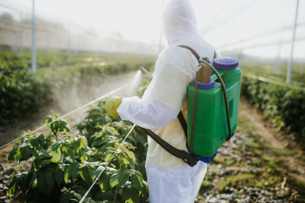 Pest Control for Restaurants in Anderson, SC